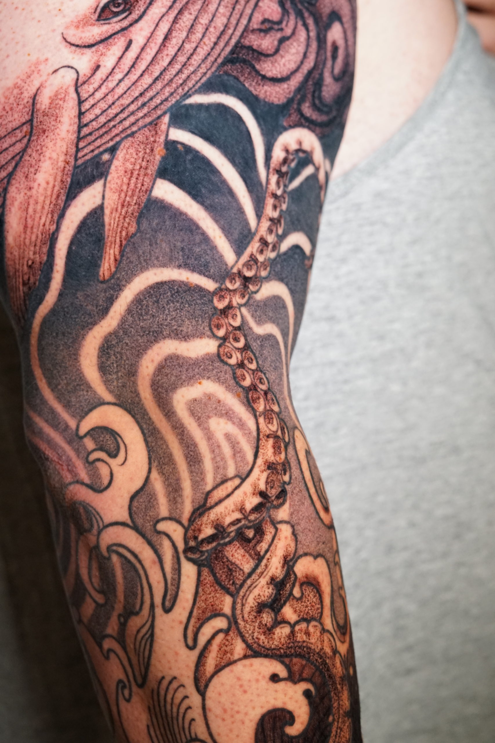 bras-marin-5_particule_le_sabot_du_pape