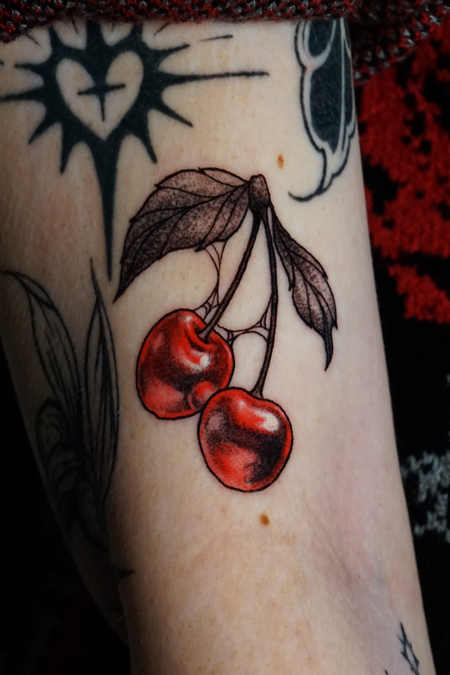 cerises_zoom_particule_le_sabot_du_pape