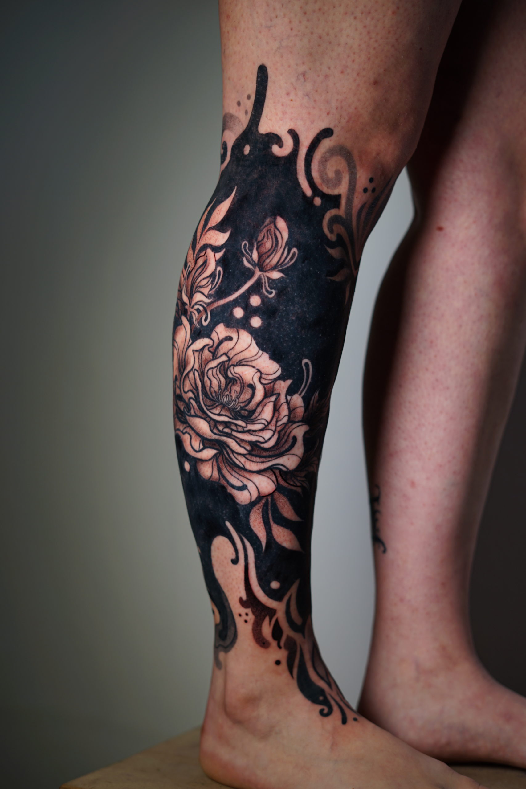 mollet_ornemental_floral_fond_noir_1_particule_le_sabot_du_pape