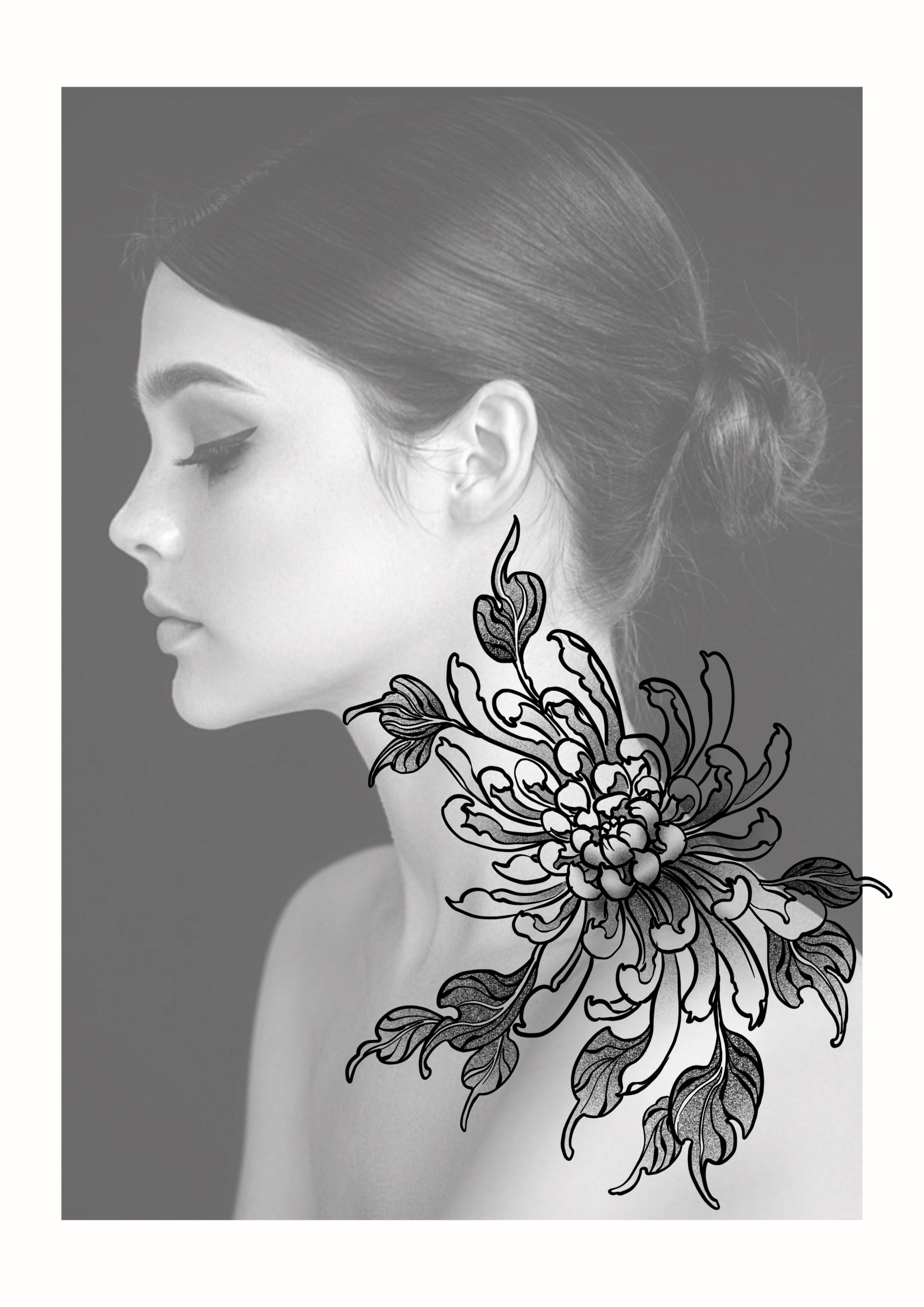 chrysanthème-gris-clair