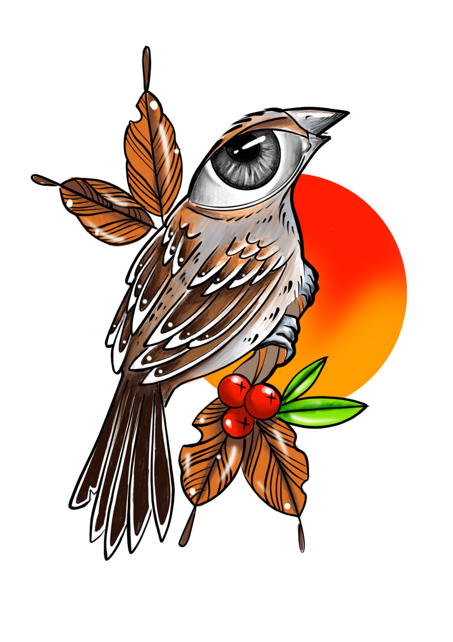 Oiseau-flash_tattoo_neotrad3